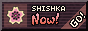 shishka-now-button.gif
